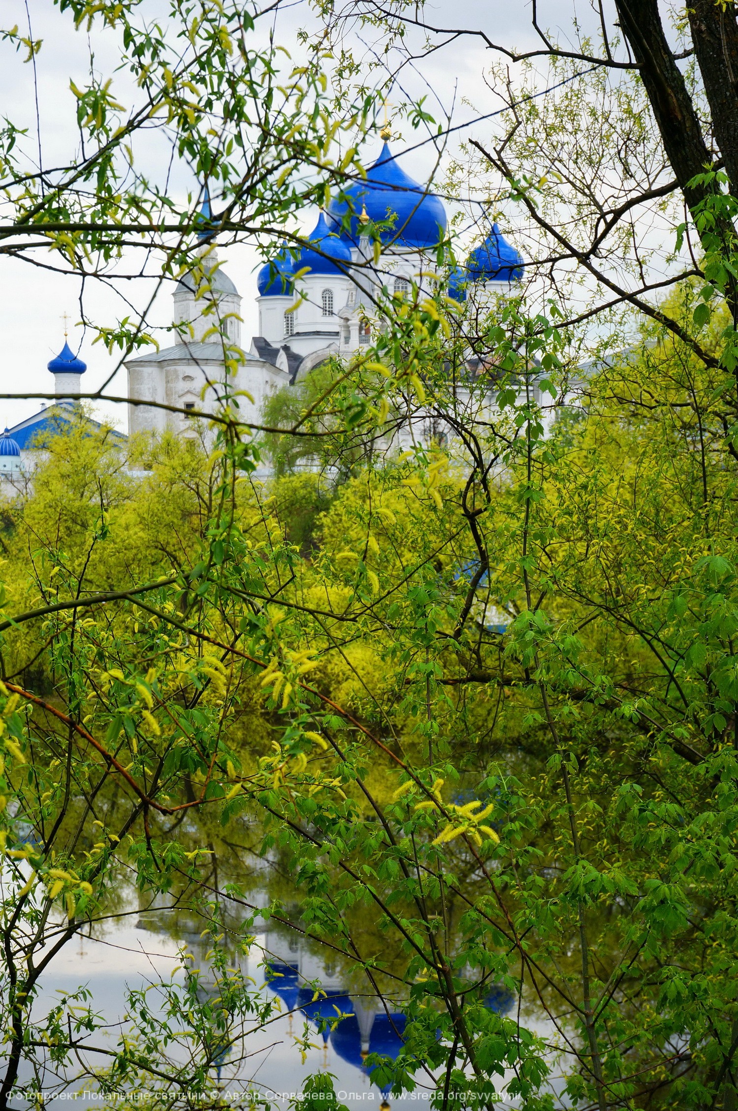 То ли верба цветет, то ли просто настало время в душу к себе заглянуть