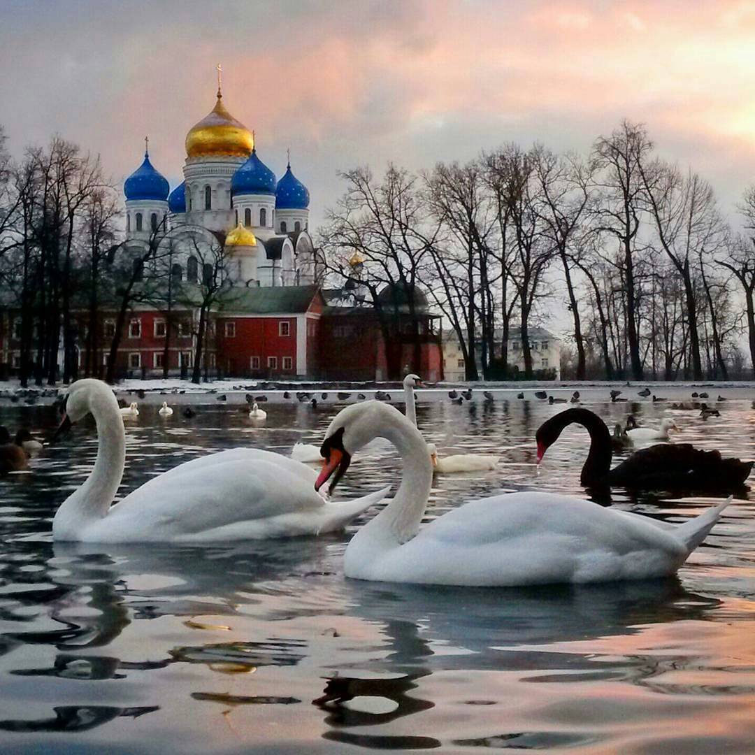 Дзержинский монастырь Николо Угрешский пруд