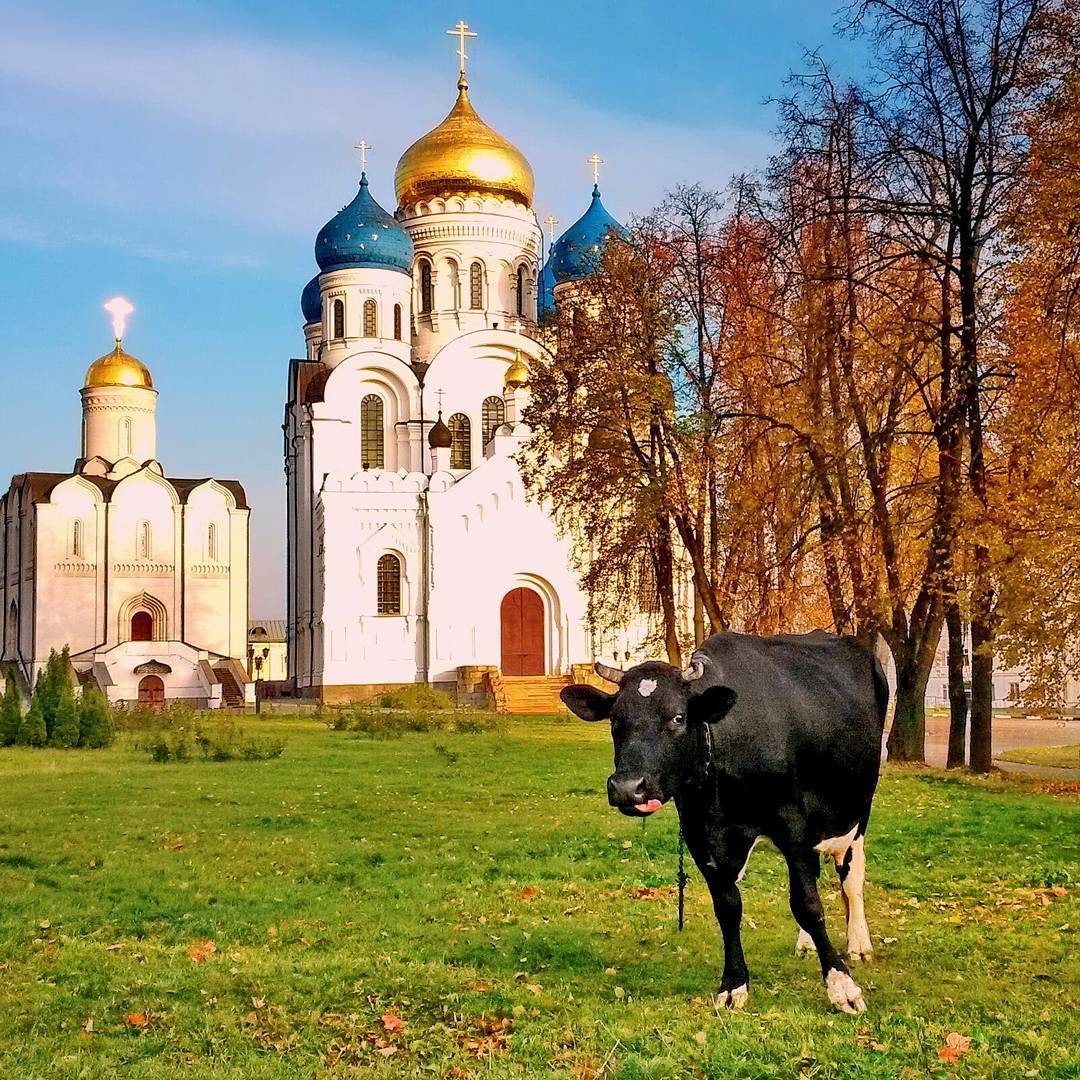 храмы николо угрешского монастыря